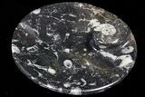 Round Fossil Goniatite Dish #73709-2